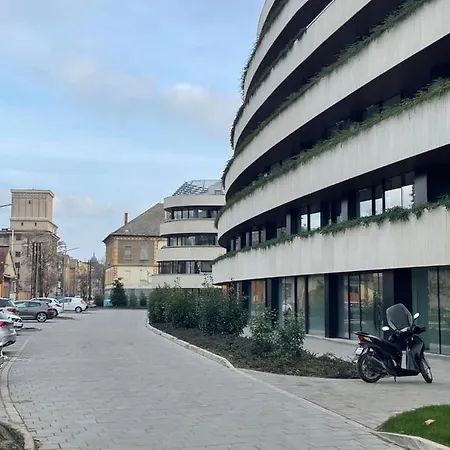 Design - Free Parking * Seghedin
